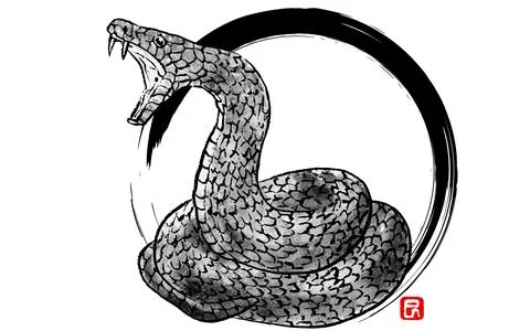 A snake coiled and threatening, hand-painted in ink, against a background o.. Stock Illustration