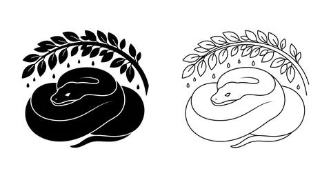 Snake coiled under leafy branch silhouette and outline graphics with silhouet 库存插图