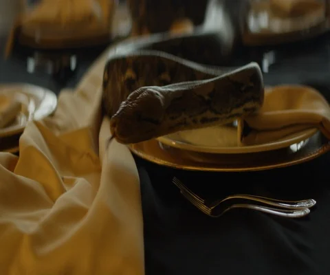 Snake crawling among plates on dining table Stock Footage 109624189