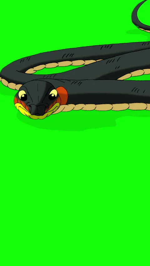 The snake is crawling chroma key animati... | Stock Video | Pond5