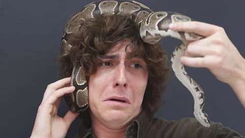 A snake crawling on a man's head. A young man is undergoing a course of Video stock 157637109