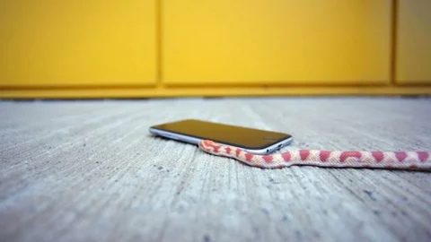 Snake crawling on the phone Video stock 70231830