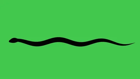 Snake crawling silhouette on green screen. Stock Footage 232586097