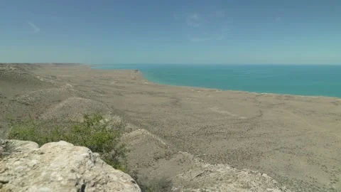 The snake crawls under the stone Stock Footage 151600821