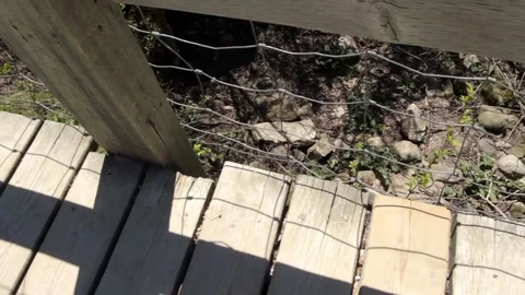 Snake Dens 061 - Slider Looking Down Into the Dens Video stock 81529800