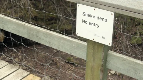 Snake Dens 062 - Snake Dens Sign Video stock 81529766