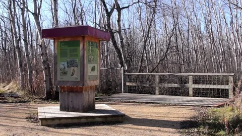 Snake Dens 064 - Viewing Platform at the Dens Video stock 81529857