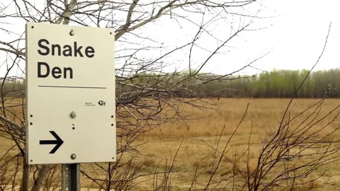 Snake Dens 070 - Snake Dens Sign Stock Footage 81529847