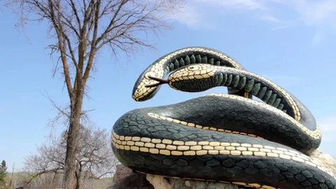 Snake Dens 072 - Snake Statue Video stock 81529768