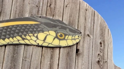 Snake Dens 080 - Narcisse Snake Dens Sign Video stock 81529720