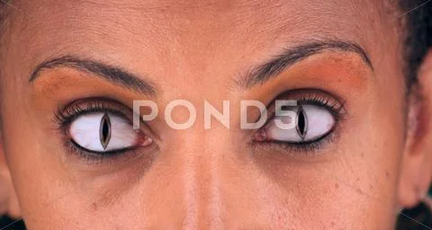 Snake eyes (1) Stock Photos
