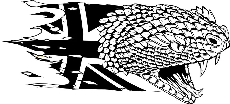 Snake Face Head Vector Design Black and white イラスト素材