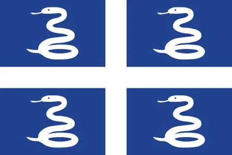 Snake Flag of Martinique. Vector illustration. World flag Stock-Illustration