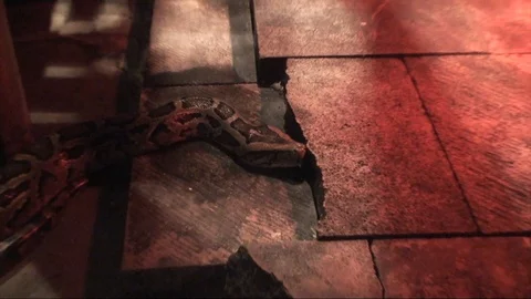Snake on Floor Stock Footage 98679153