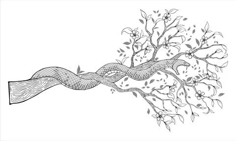 Snake on a flowering branch Stock Illustration
