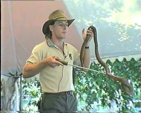 Snake Stock Footage 848200