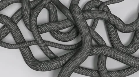 Snake Stock Footage 12027618