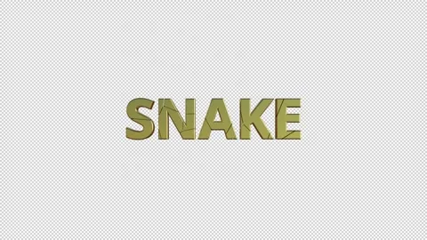 SNAKE Stock Footage 307982113