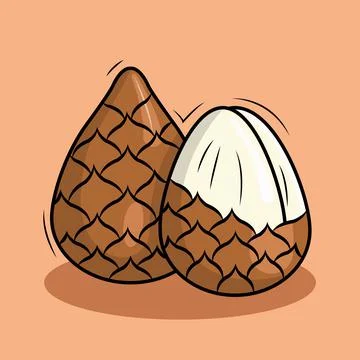 Snake Fruit Stock Illustration