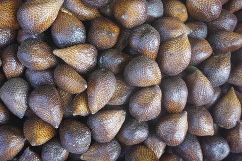 Snake fruit Stock Photos