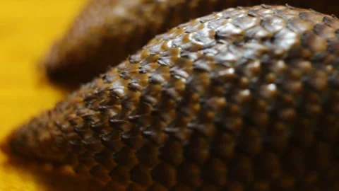 Snake fruit Salak extremely close-up, real time, panning, the object moves smoot Stock Footage 108653395