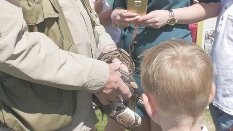 Snake Handheld 1 Stock Footage 79632355