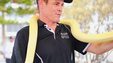Snake Handler Demonstrates with Albino Python in Gold Coast Stock Footage 307576439