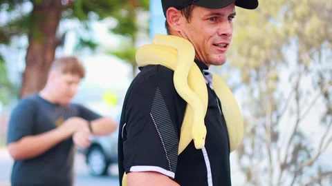 Snake Handler Demonstration at Gold Coast Event Stock Footage 307467365