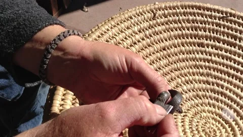 Snake Handler Removes Parasitic Worm From Snake, Mount Compass - 01 Jan 1970 Vidéo 205377855