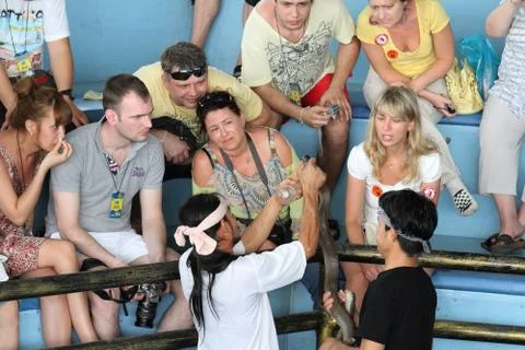 A snake handler shows visitors the fangs of the Cobra poison in Thailand Foto stock