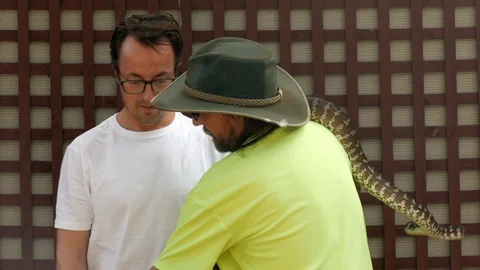 Snake handler wraps a large python snake around a white males. Man looks Stock Footage 106999419