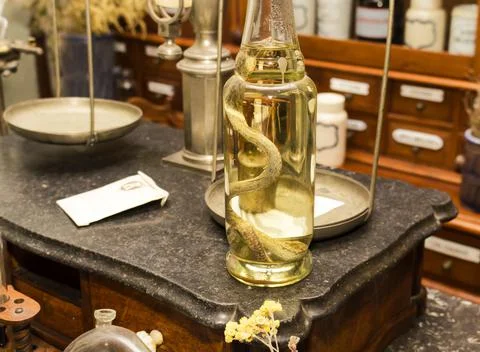 The snake that has been alcoholized inside the bottle is on the table Foto stock