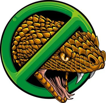 Snake head hand drawn vector illustration design Stock Illustration