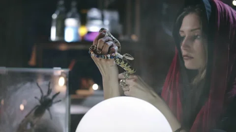 Snake helps young fortune teller to predict future Vídeos de archivo 136886471
