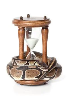 Snake with hourglass Stock Photos
