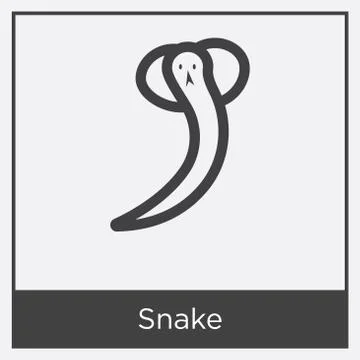 Snake icon isolated on white background Free Stock Illustration