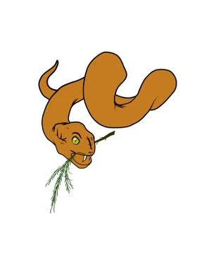 Snake Stock Illustration