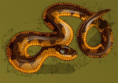 Snake Stock Illustration