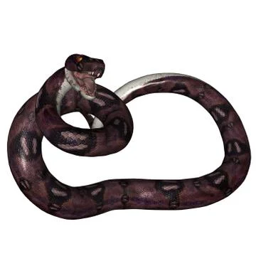 Snake Stock Illustration