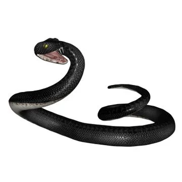 Snake Stock Illustration