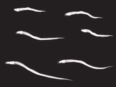 Snake Stock Illustration