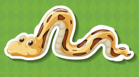 Snake Illustration
