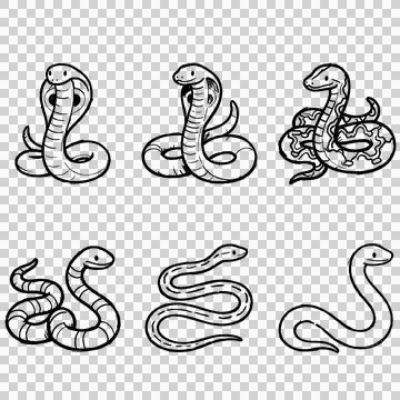 Snake 库存插图