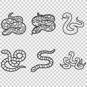 Snake 库存插图