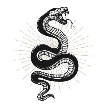 Snake illustration on white background Illustrazione stock