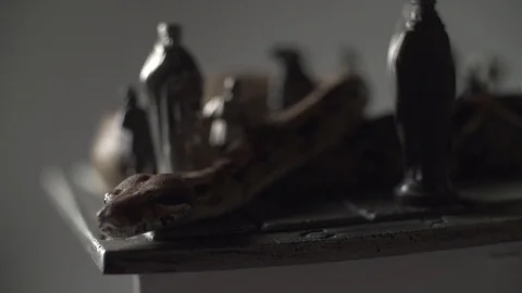 Snake on iron chess board with figures . Super slow motion Stock Footage 101865724