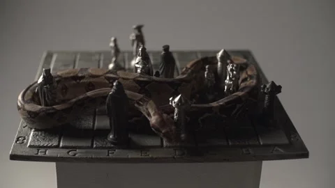 Snake on iron chess board. Studio super slow motion with white background Stock Footage 138706285
