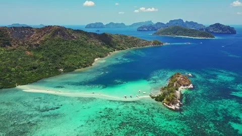 Snake island Stock Footage 311771040