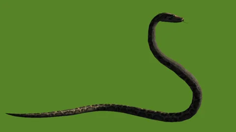 Bushmaster Snake 3D model - Download Animals on