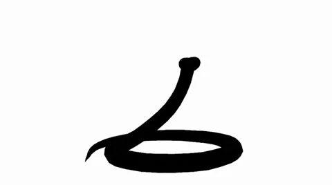 Snake &amp; jungle carpet python attack,sliding decorative sketch silhouette. 스톡 동영상 38285566